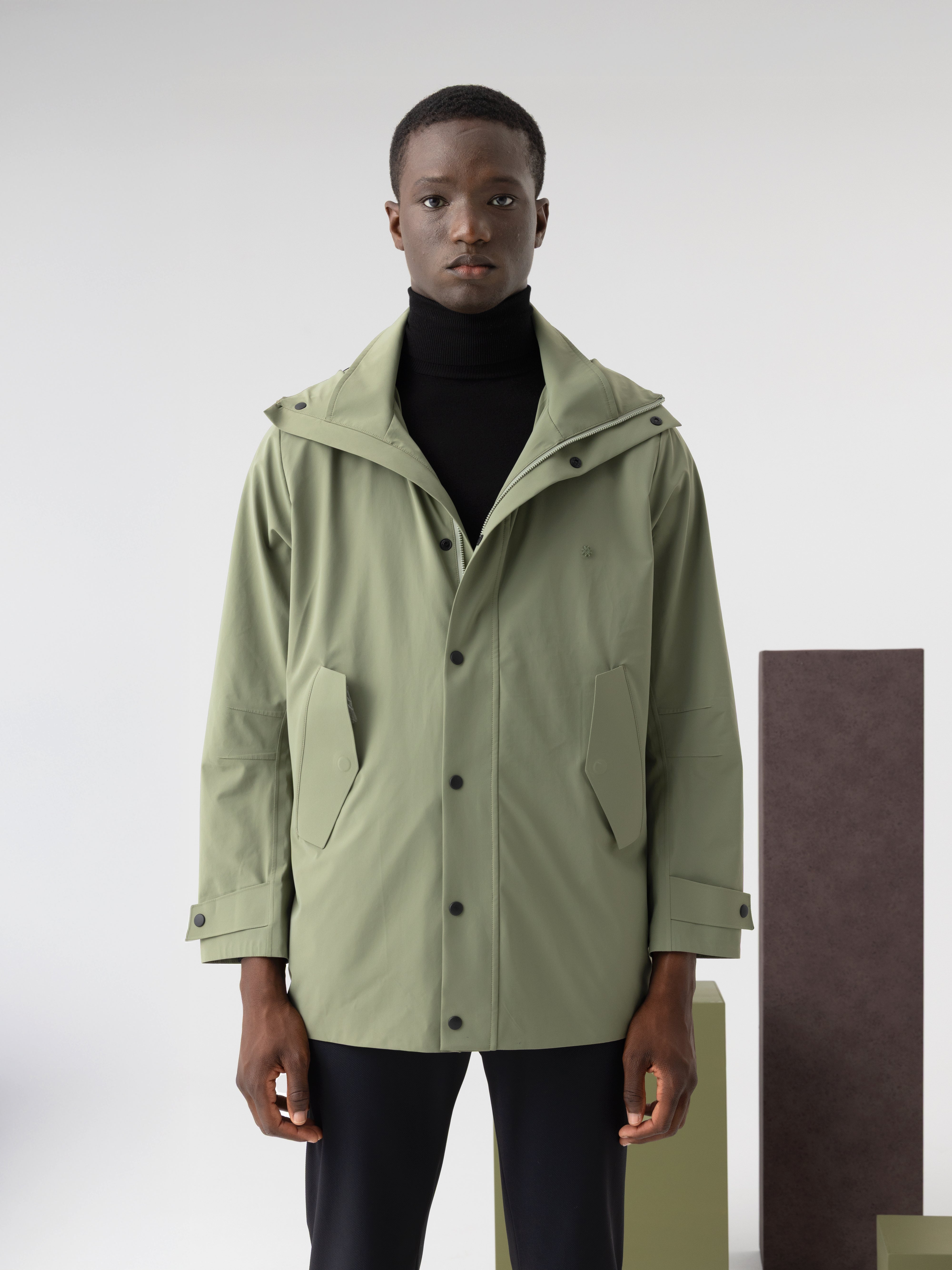 #renk_lichen green