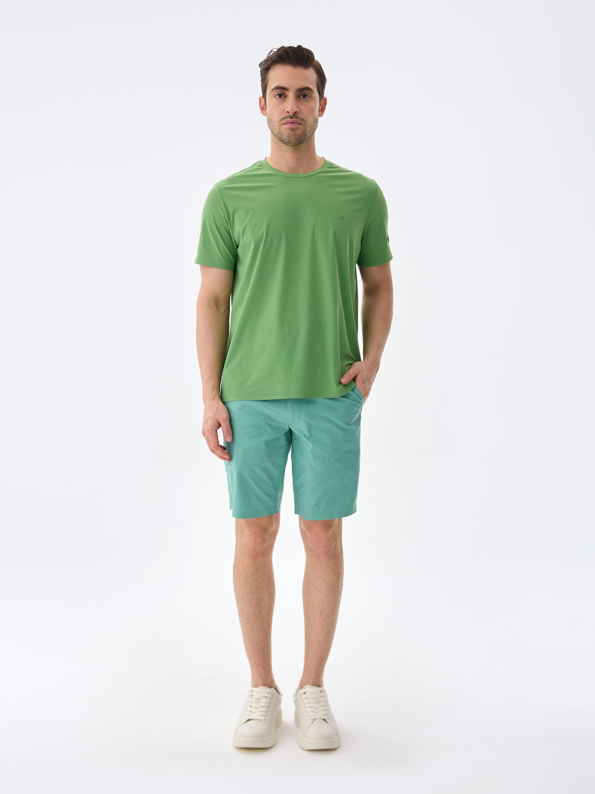 #renk_palm green