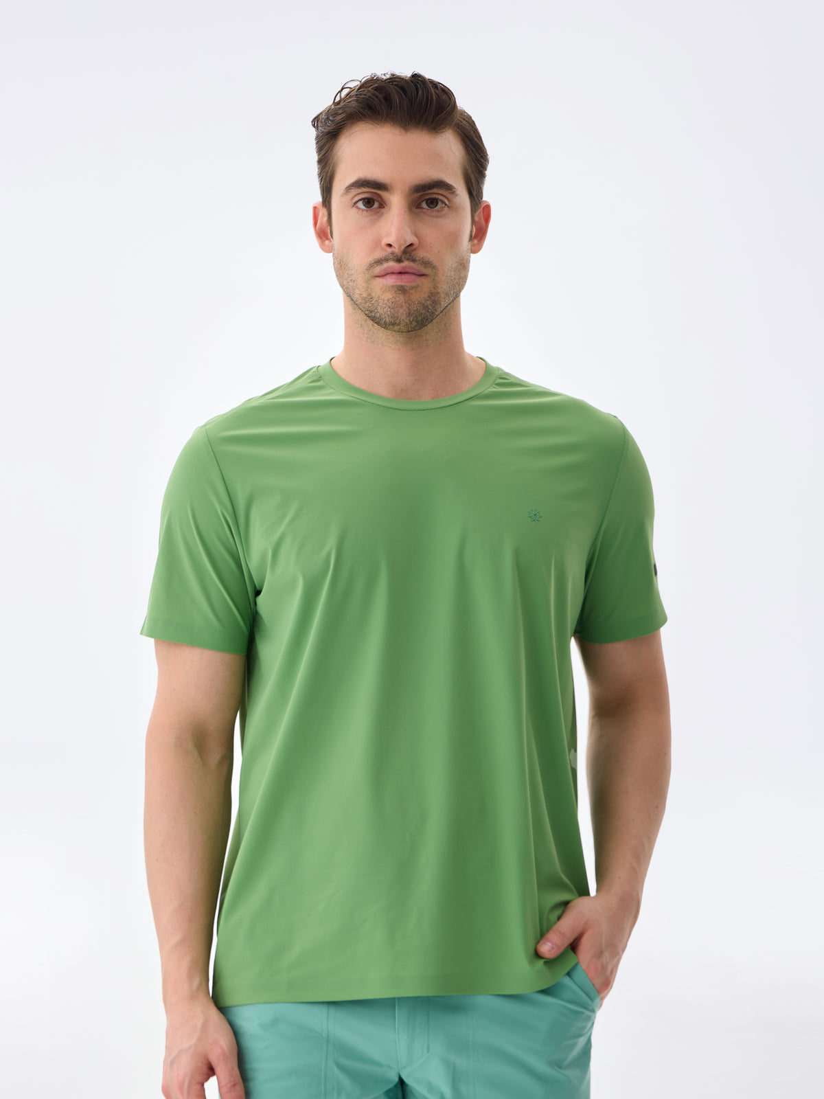 #renk_palm green