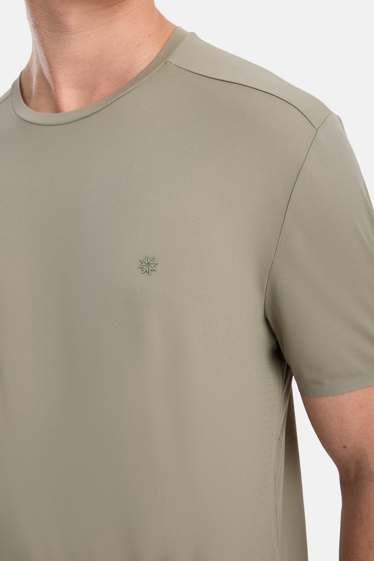 #renk_lichen green