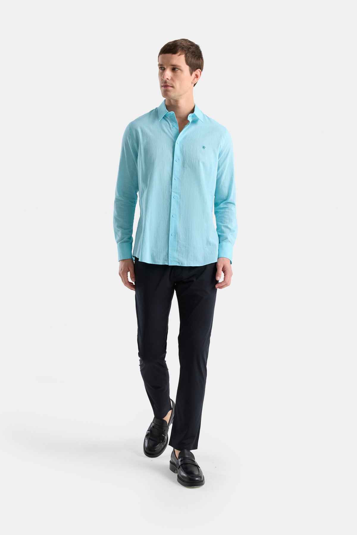 #renk_turquoise