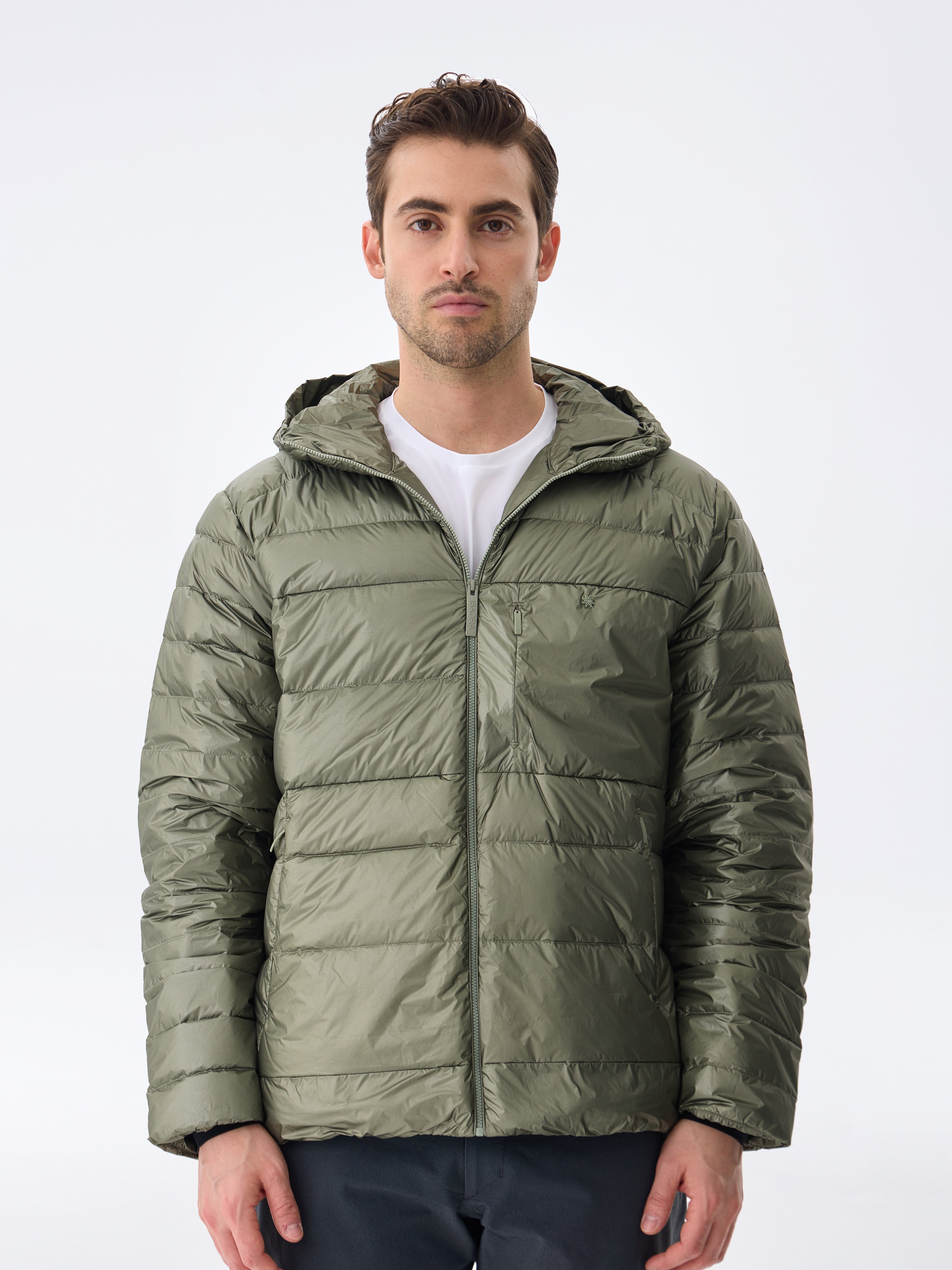 #renk_lichen green