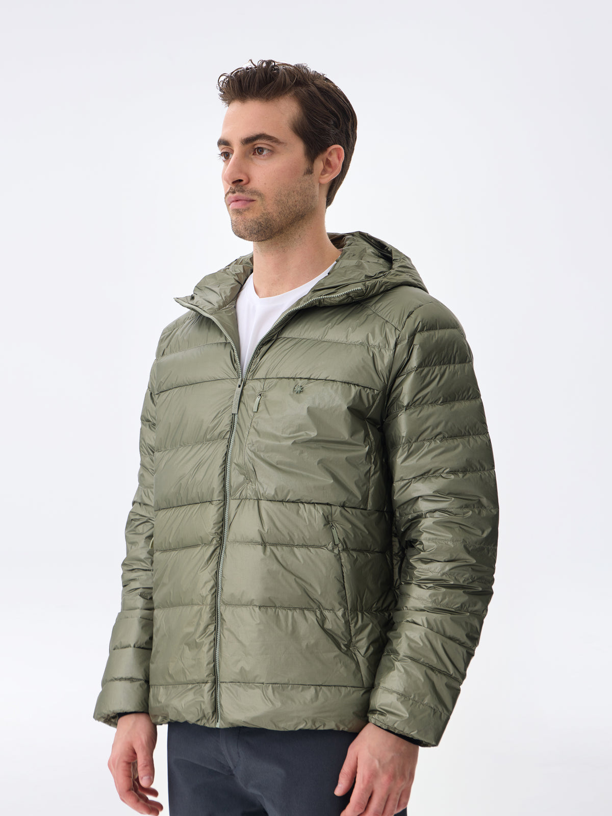 #renk_lichen green