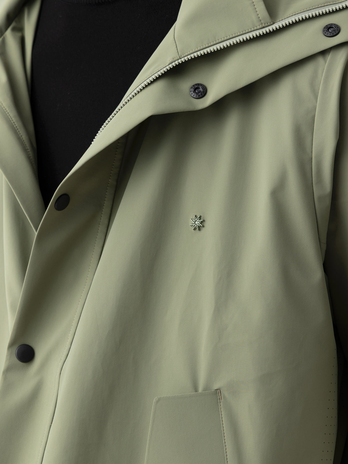 #renk_lichen green
