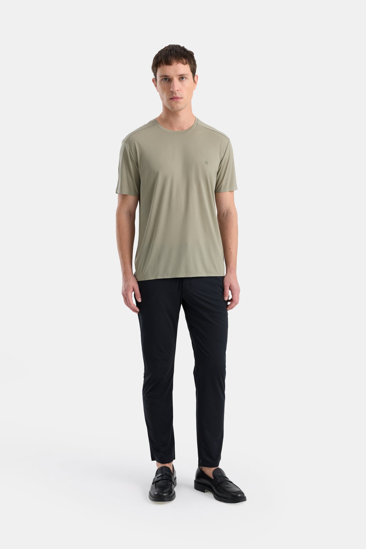 #renk_lichen green