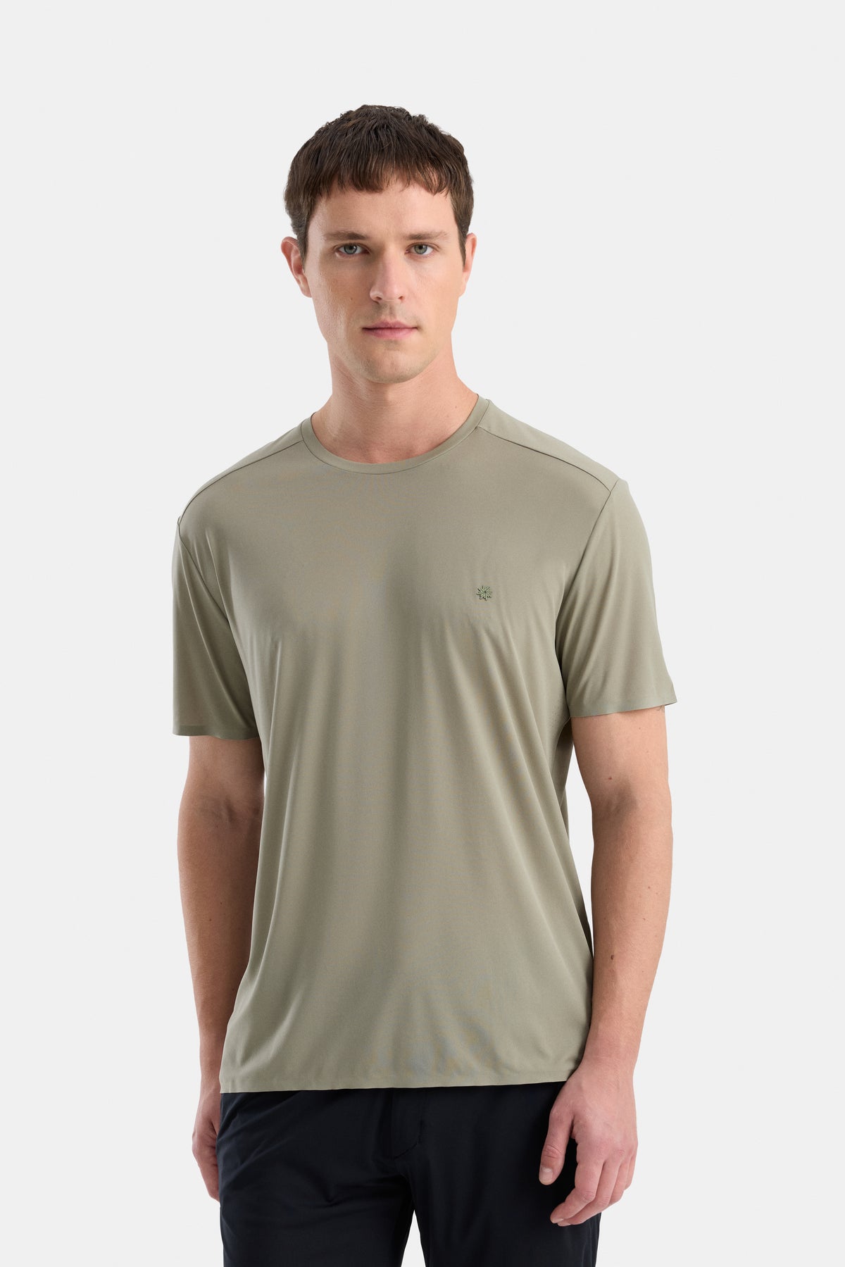 #renk_lichen green