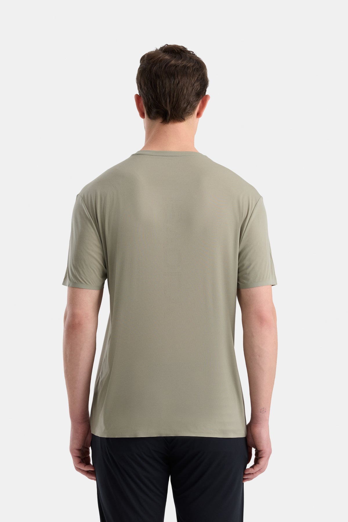 #renk_lichen green