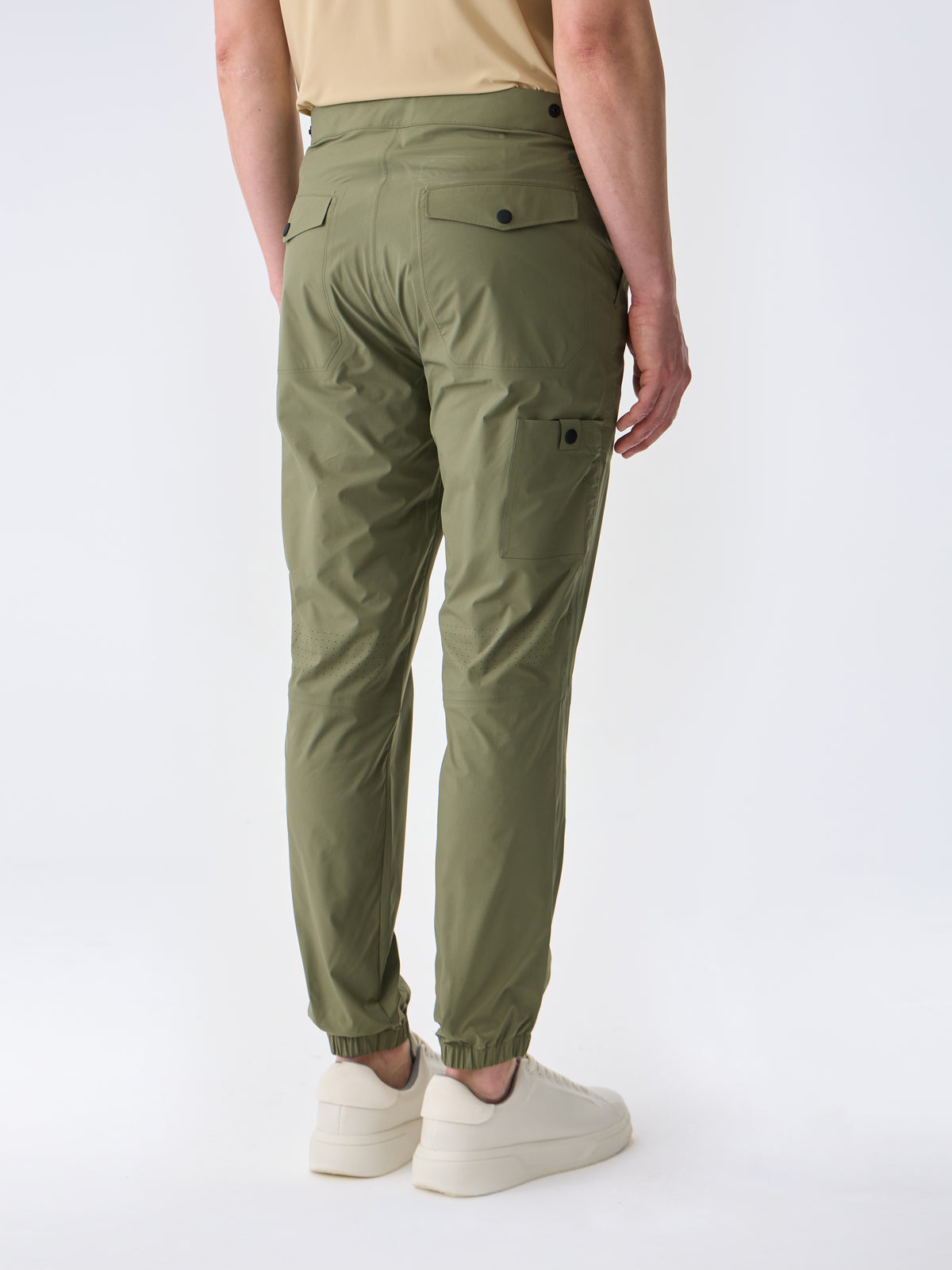 #renk_lichen green