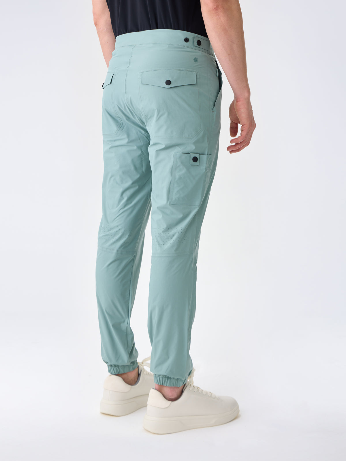 #renk_palm green