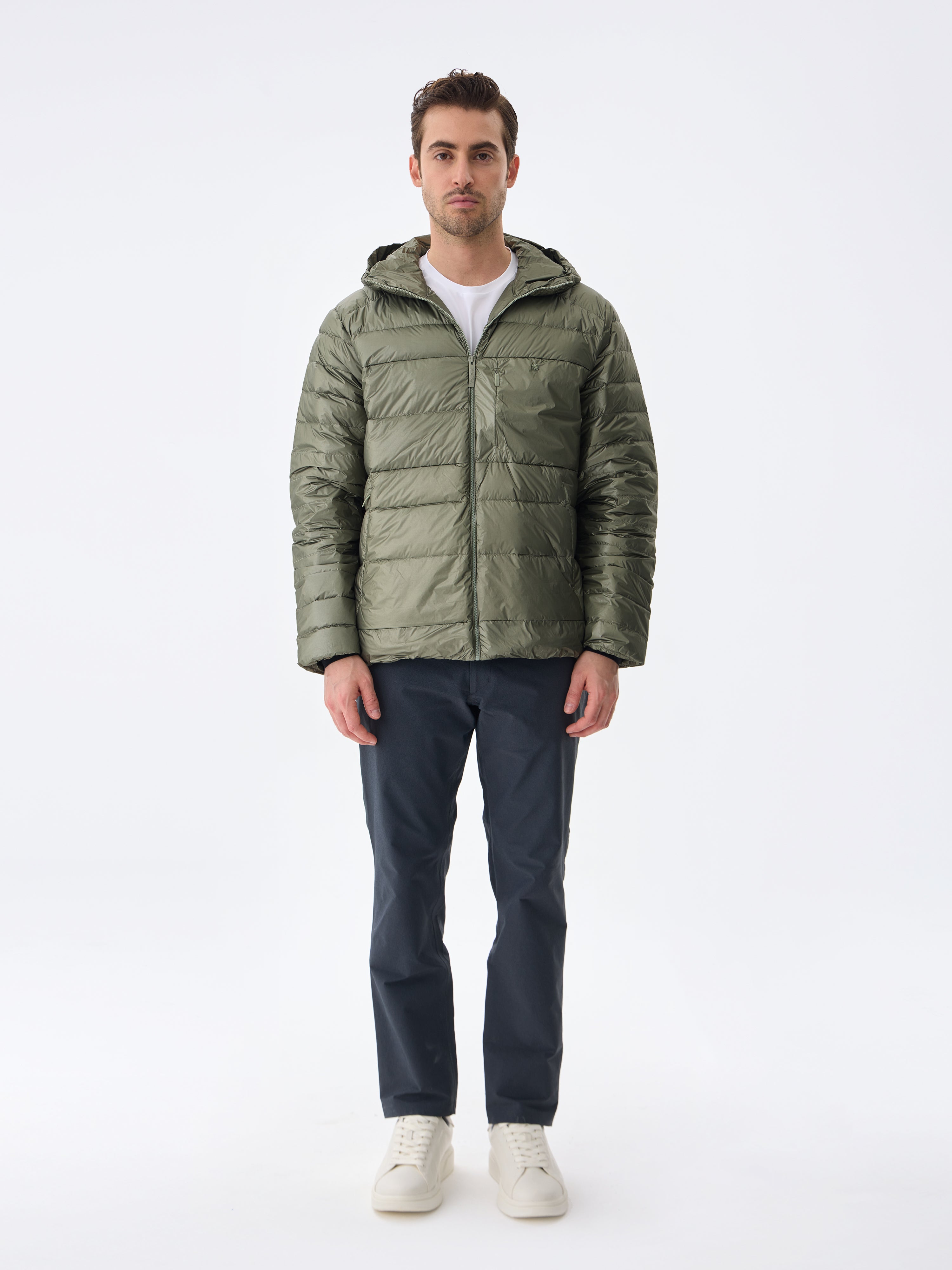 #renk_lichen green